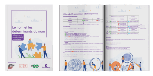 Gutenberg - Brosura educativa - Franceza - Substantivul